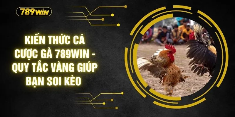 Kiến Thức Cá Cược Gà 789WIN - Quy Tắc Vàng Giúp Bạn Soi Kèo